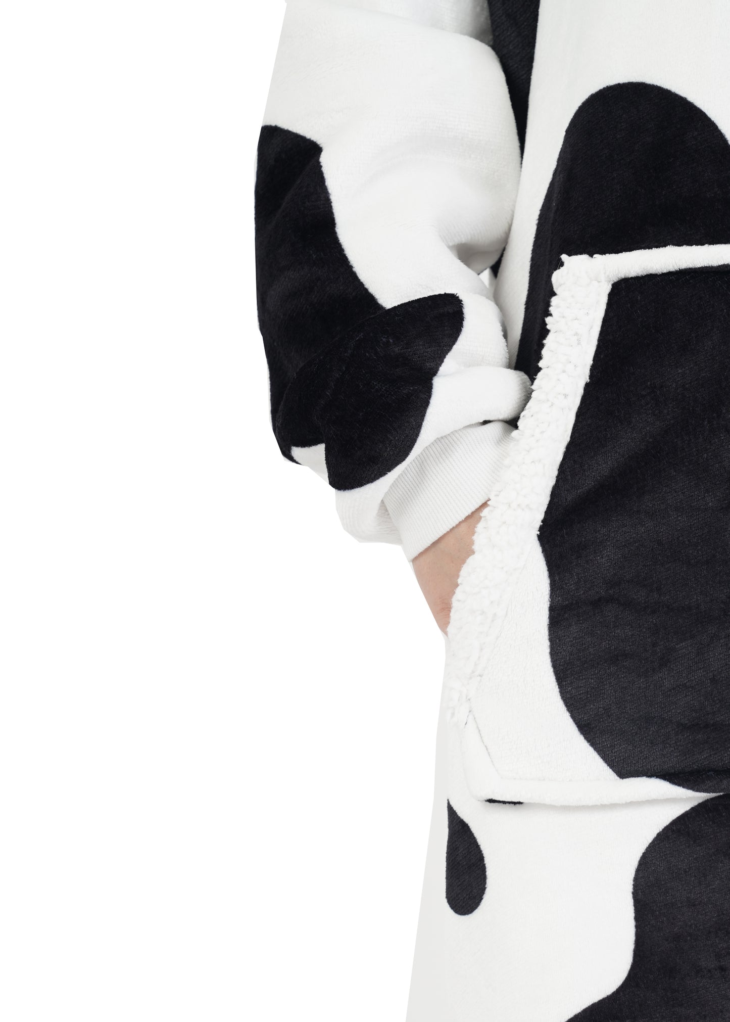 סהרה הודיז בוגרים - פרה