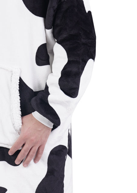 סהרה הודיז בוגרים - פרה